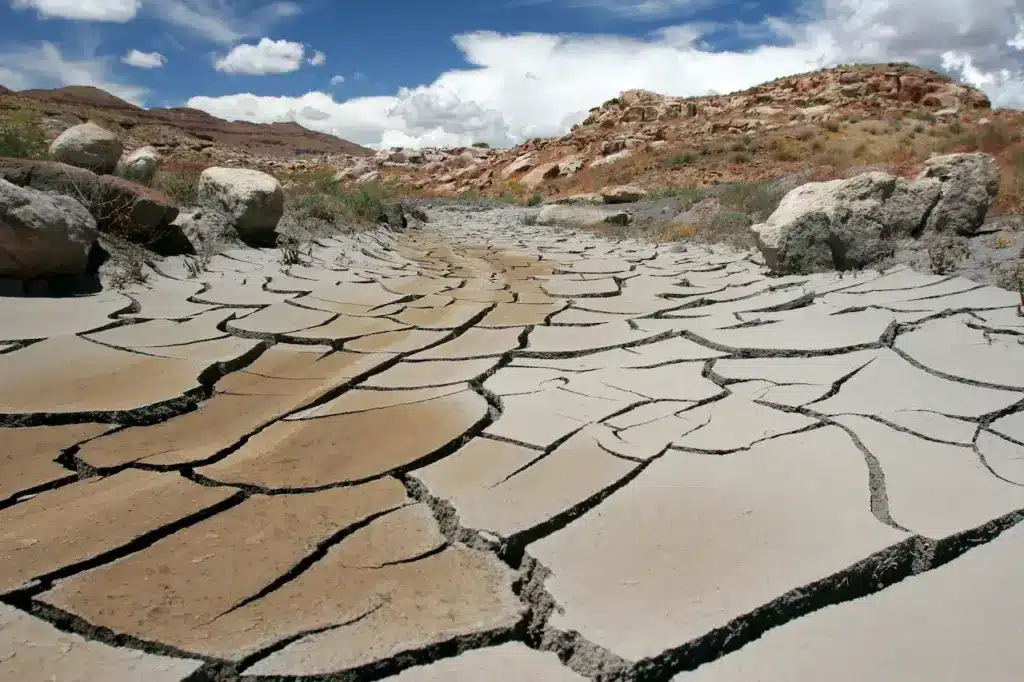 Dry River